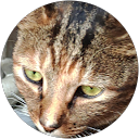 イチロー profile picture